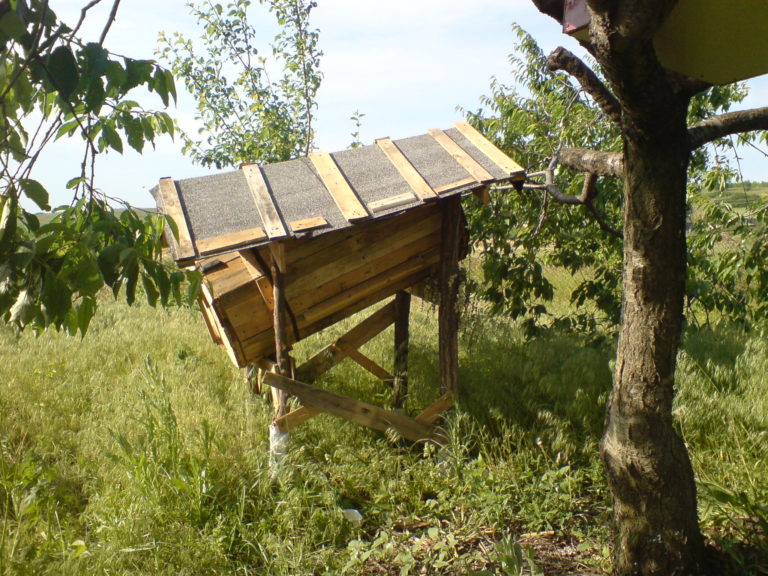 DSC04355