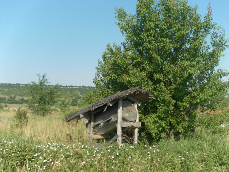 SAMSUNG DIGITAL CAMERA